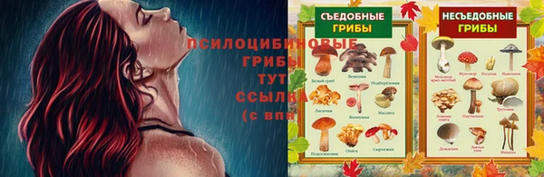 герыч Вязники